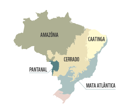 Herpetofauna da Amazônia – Herpeto